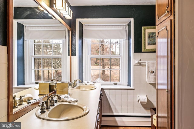 bathroom with vanity and a healthy amount of sunlight