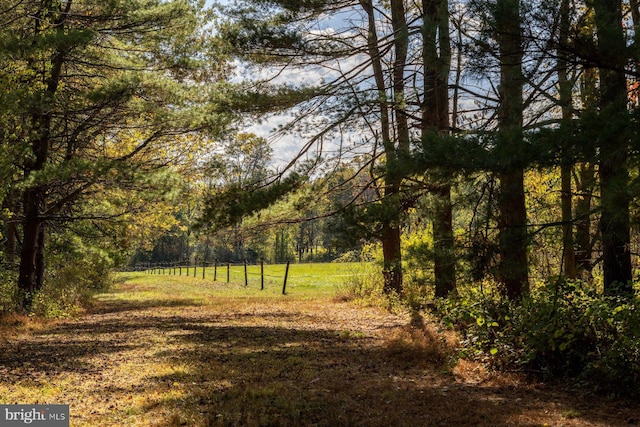 view of local wilderness