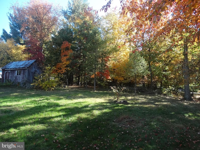 view of yard with a storage unit