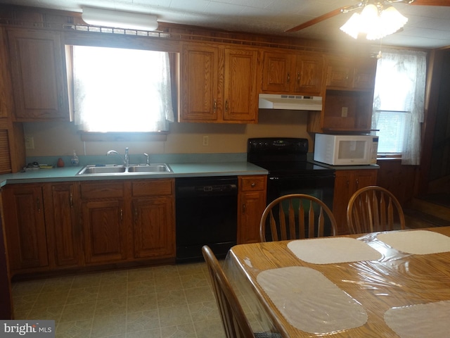 kitchen featuring a wealth of natural light, sink, black appliances, and ceiling fan