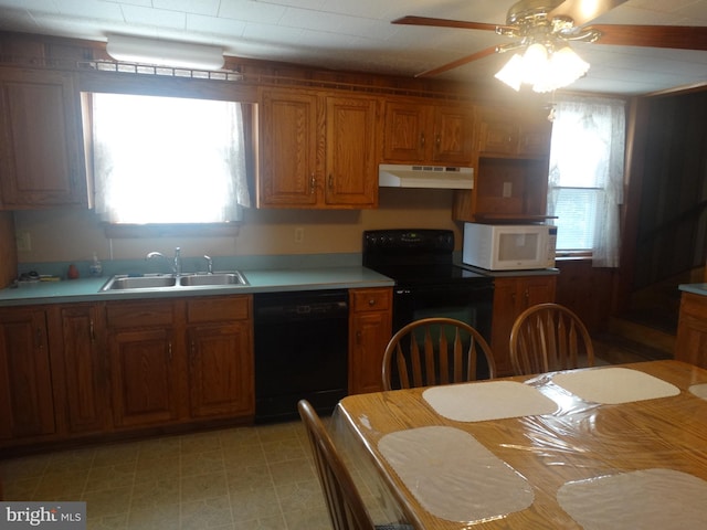 kitchen featuring ceiling fan, a healthy amount of sunlight, black appliances, and sink