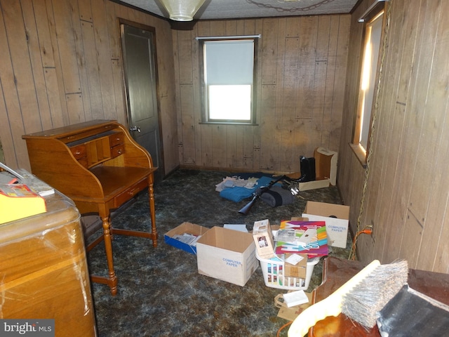 living area with wooden walls and carpet