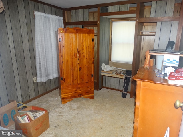 interior space featuring wooden walls and carpet floors