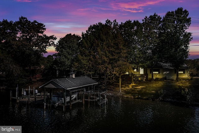 dock area with a water view