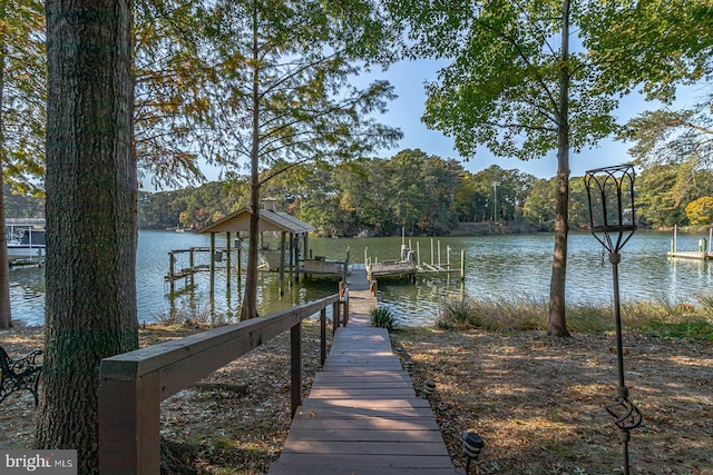 dock area with a water view