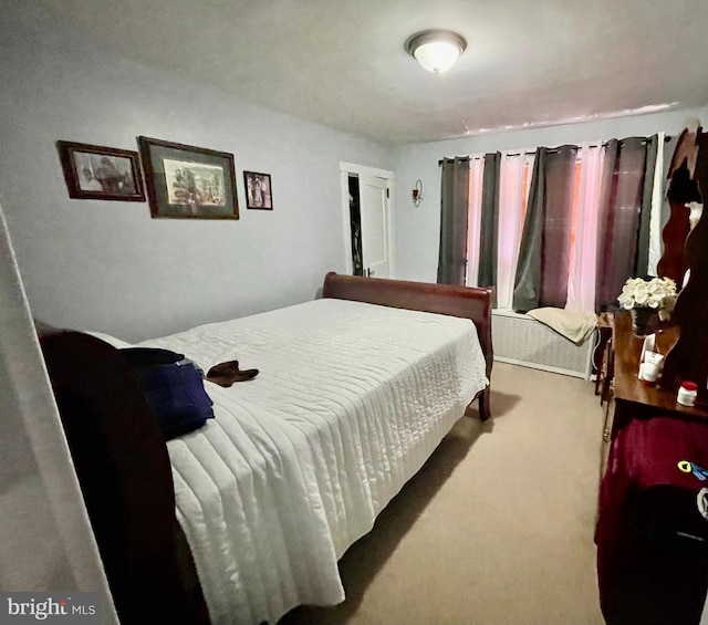 bedroom with carpet floors