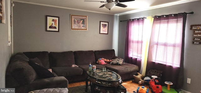 living room with ceiling fan, hardwood / wood-style flooring, and ornamental molding