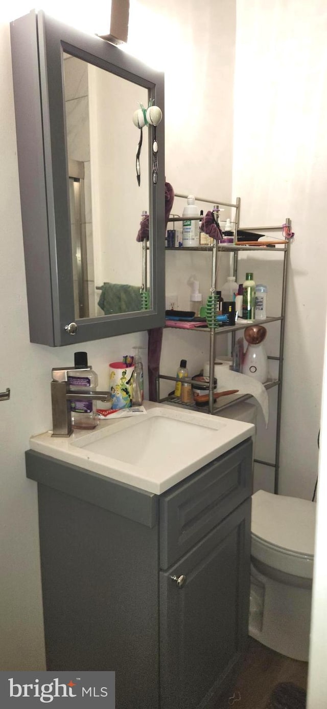 bathroom featuring vanity and toilet