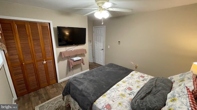 bedroom with dark wood-type flooring, a closet, and ceiling fan