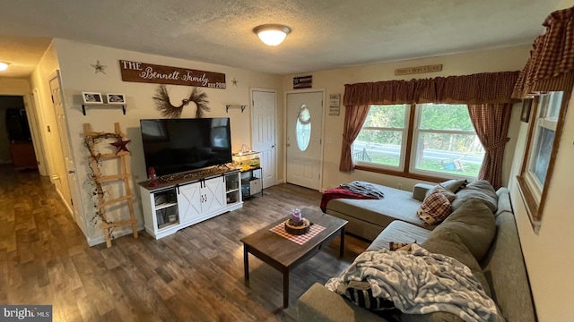 living room with a textured ceiling and dark hardwood / wood-style flooring