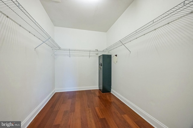 walk in closet featuring wood-type flooring