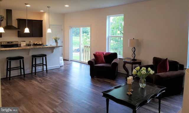 living room with dark hardwood / wood-style flooring