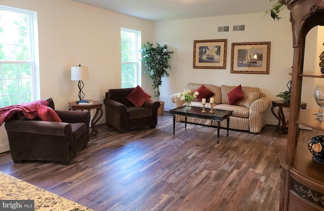 living room featuring dark wood-type flooring