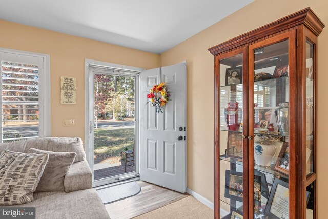 doorway with light hardwood / wood-style flooring