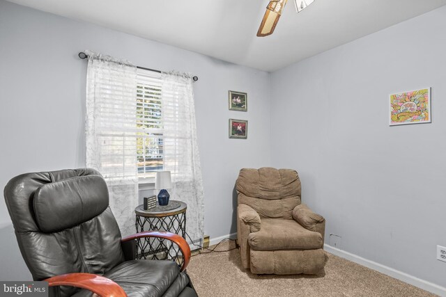 sitting room featuring carpet floors