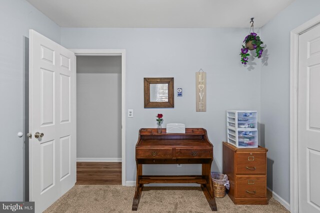 misc room featuring light colored carpet