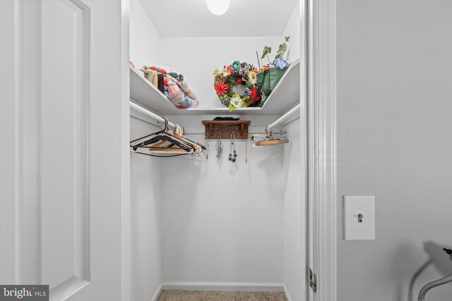 view of walk in closet