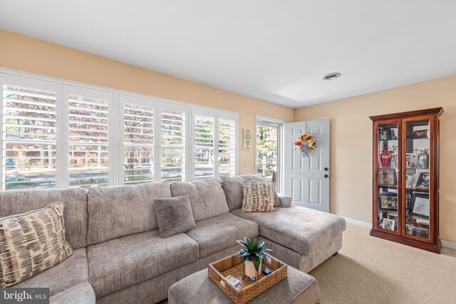 living room with carpet