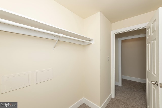 spacious closet featuring carpet flooring