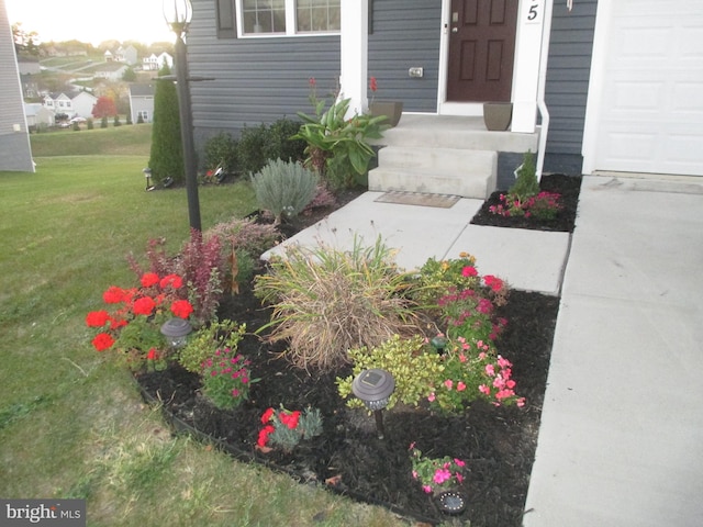 entrance to property with a yard