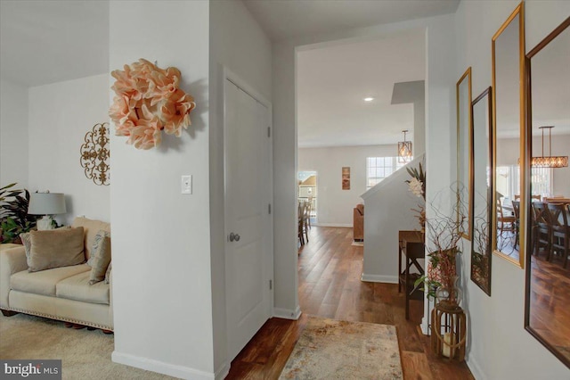 hall featuring hardwood / wood-style floors