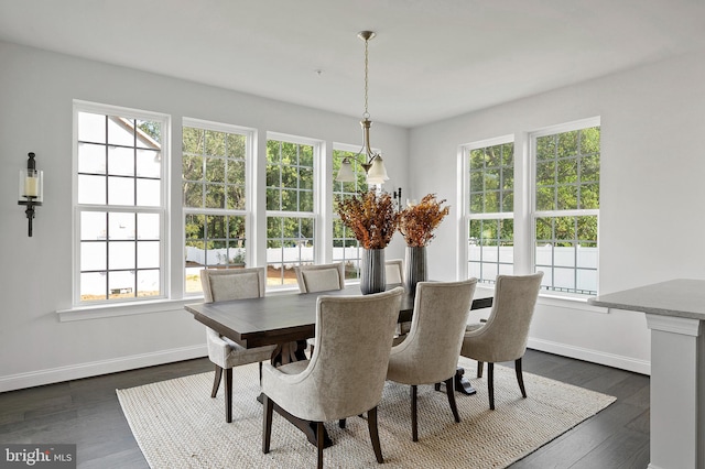 dining area featuring dark wood-type flooring