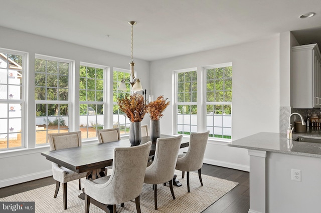 dining area featuring a healthy amount of sunlight, sink, and dark hardwood / wood-style flooring