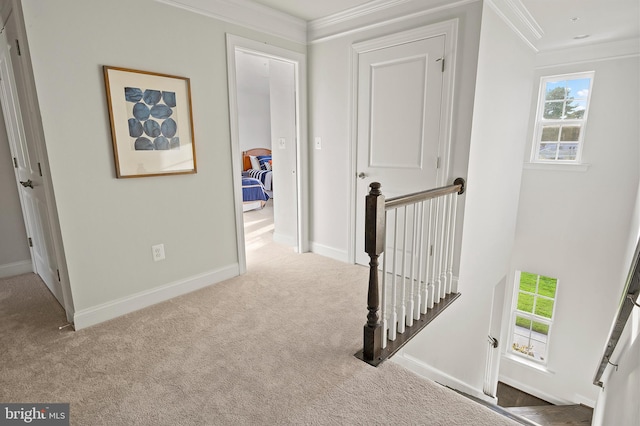 hallway featuring crown molding and light colored carpet