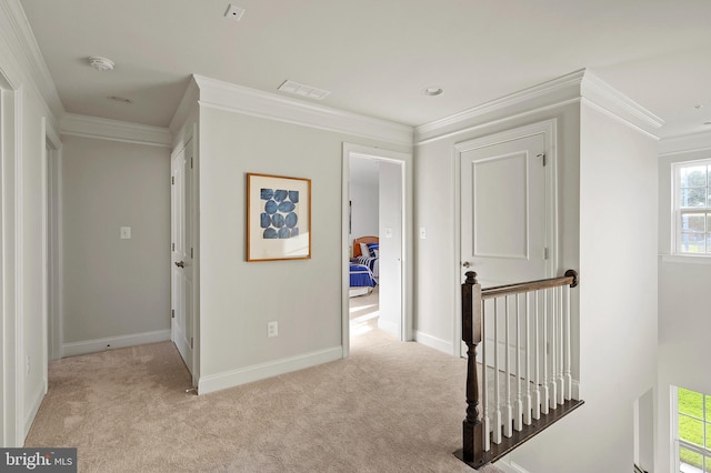 hallway with ornamental molding and light colored carpet