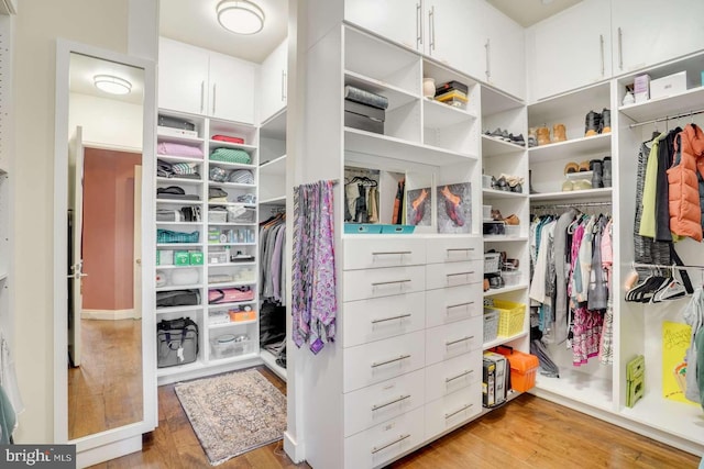 spacious closet with light hardwood / wood-style flooring