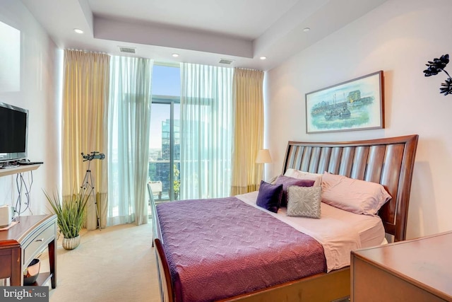 carpeted bedroom with a raised ceiling