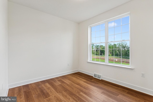 spare room featuring wood-type flooring and a wealth of natural light