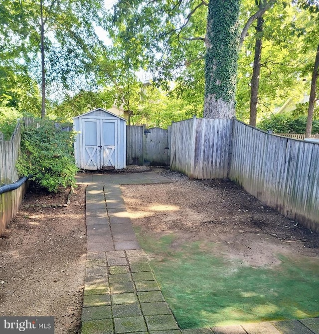 view of yard featuring a storage unit