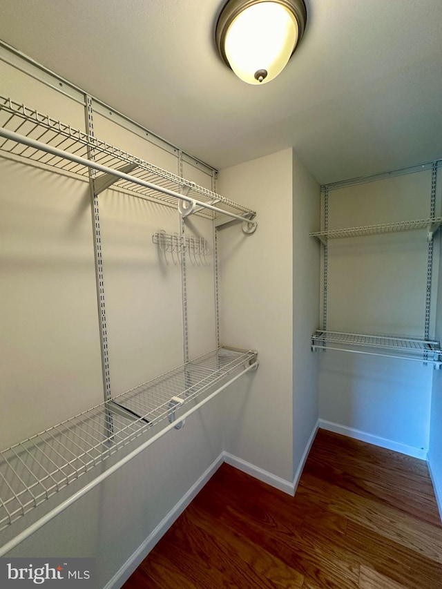 walk in closet with dark hardwood / wood-style flooring