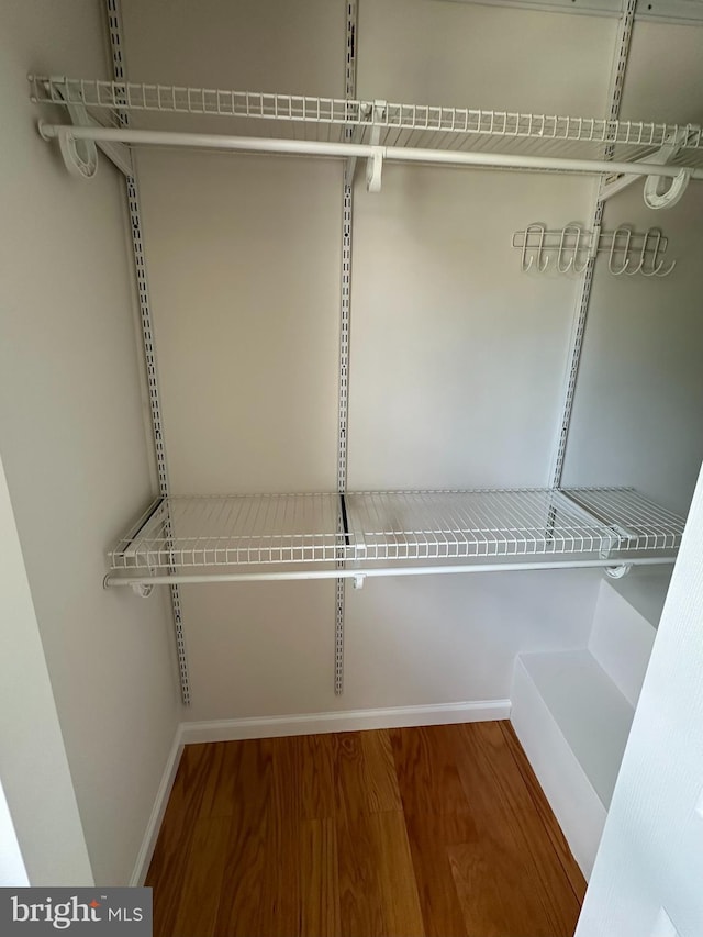 spacious closet with hardwood / wood-style floors