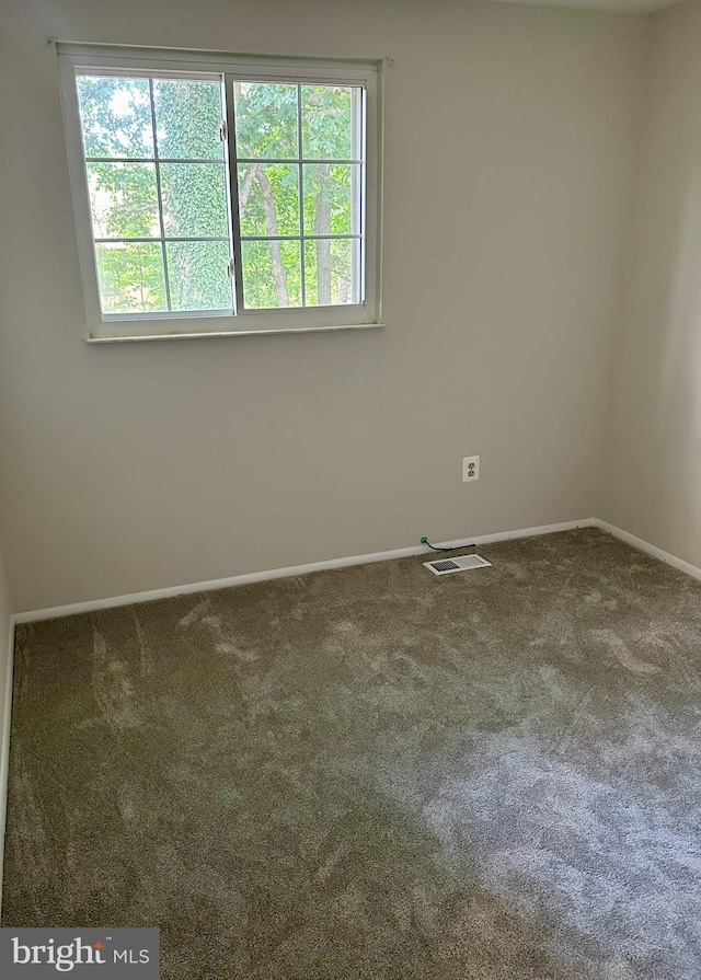 empty room featuring a wealth of natural light and carpet floors