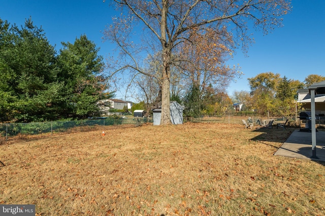 view of yard featuring a shed