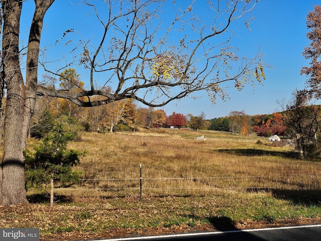 view of yard with a rural view