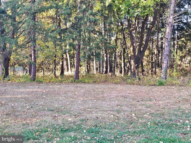 view of local wilderness