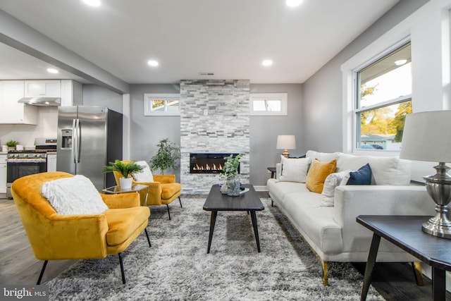 living room with a stone fireplace and wood-type flooring