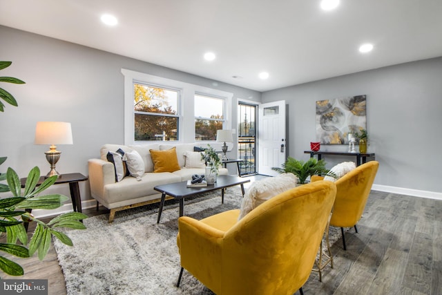 living room with dark wood-type flooring