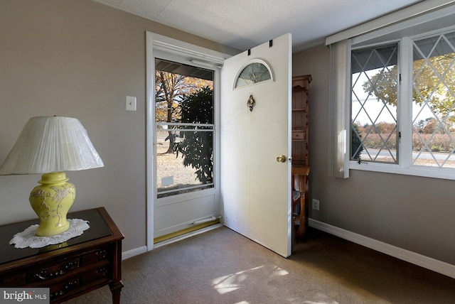 carpeted entryway featuring a textured ceiling and a wealth of natural light