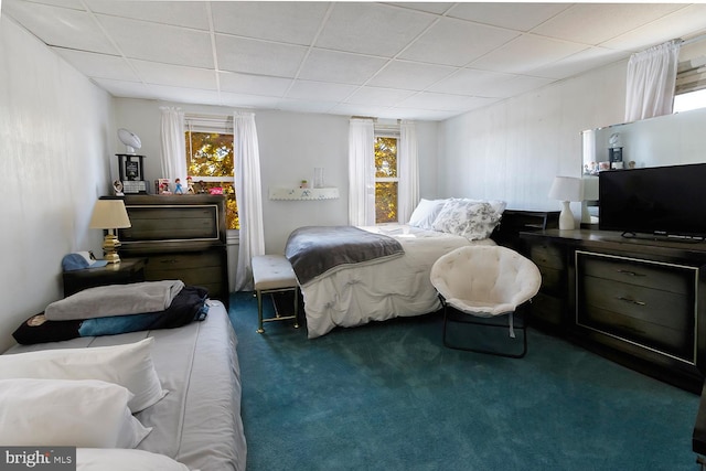 bedroom featuring a drop ceiling, multiple windows, and dark carpet