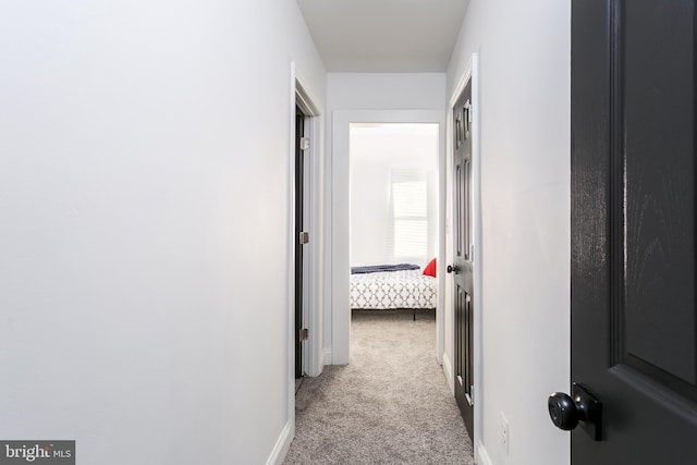 corridor with light colored carpet