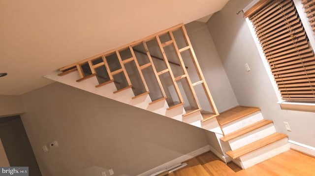 stairs with hardwood / wood-style flooring