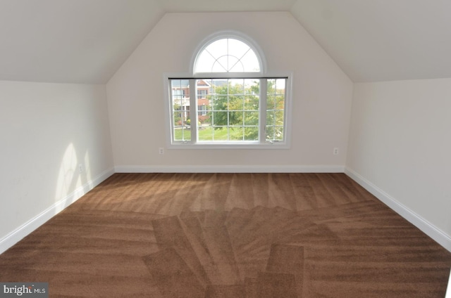 bonus room with carpet and vaulted ceiling