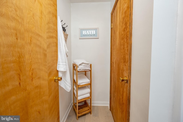 bathroom featuring wood-type flooring