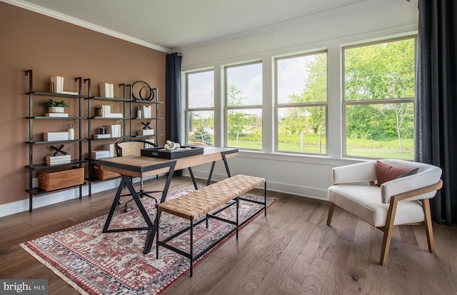 home office with ornamental molding and hardwood / wood-style flooring