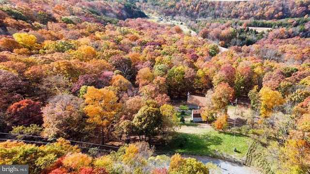 bird's eye view