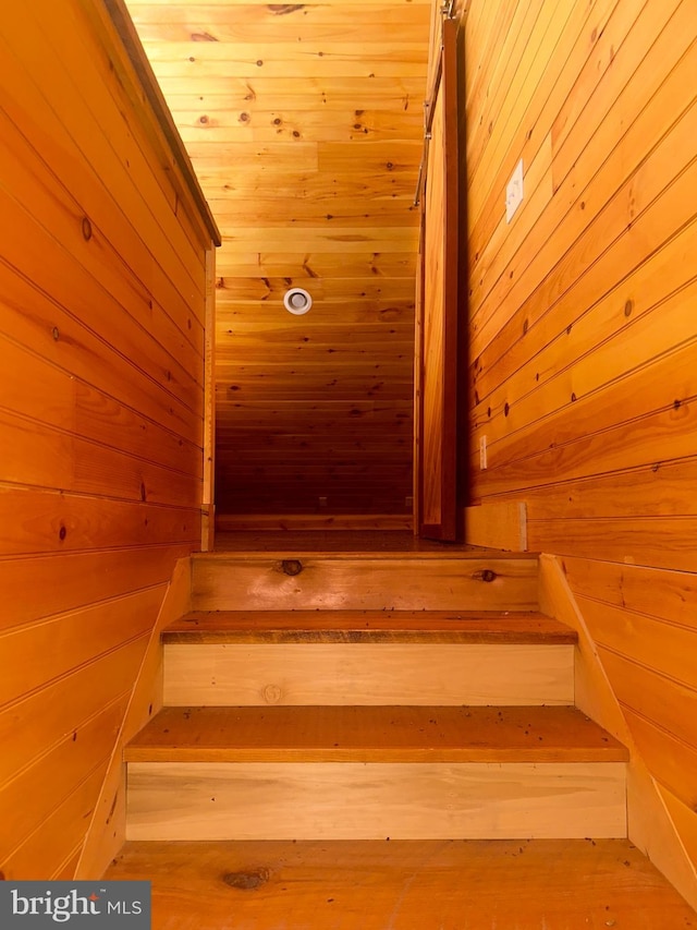 staircase with wood walls